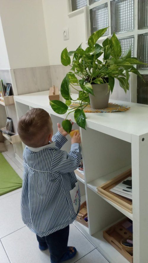 La Escuelita del Viejo Coso